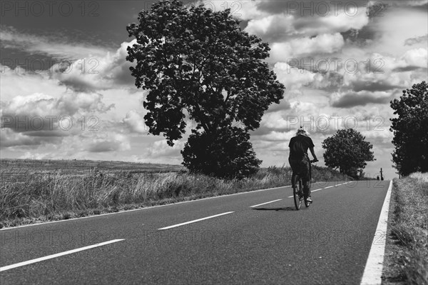 Girl riding a bicycle along the asphalt road among the fields of wheat