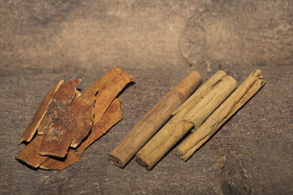 Chinese cinnamon bark (Cinnamomum cassiaund) and cinnamon sticks (Cinnamomum verumaus) from Ceylon