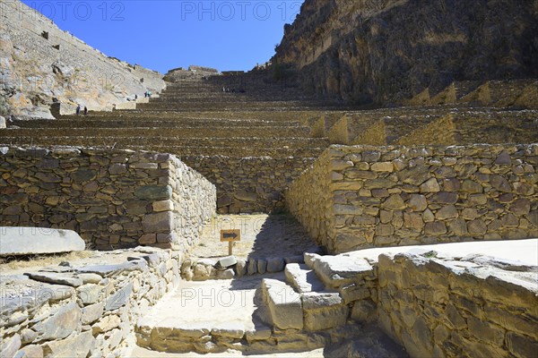 Terraces of the Inca ruins