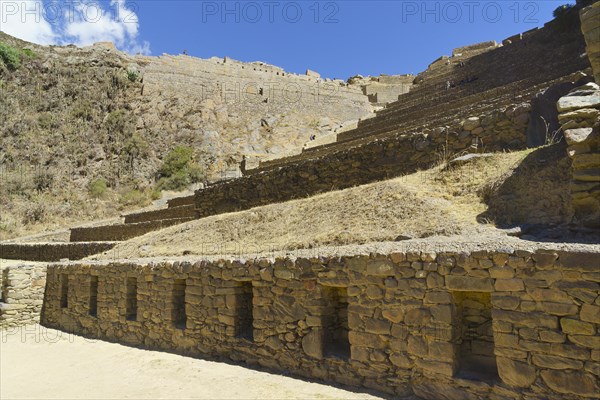 Terraces of the Inca ruins