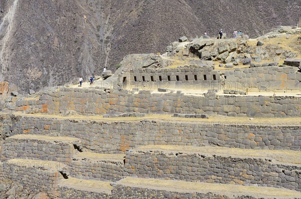 Terraces of the Inca ruins