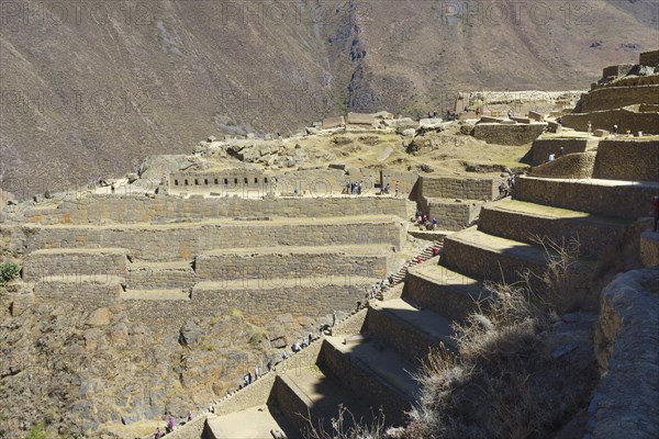 Terraces of the Inca ruins