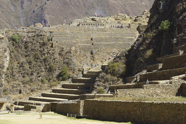 Terraces of the Inca ruins