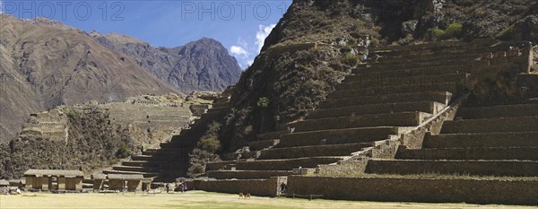 Terraces of the Inca ruins