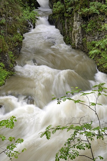 Schwarzwasserbach