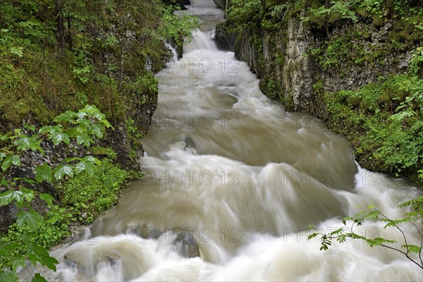 Schwarzwasserbach