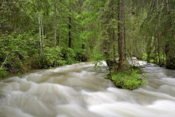 Schwarzwasserbach