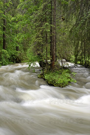 Schwarzwasserbach