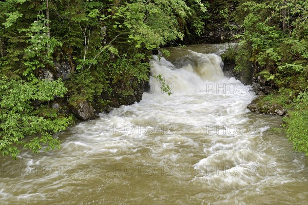 Schwarzwasserbach