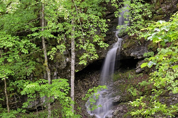 Small waterfall after heavy rain in Schwarzwassertal