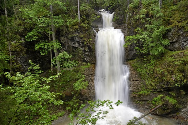 Schwarzwasserbach