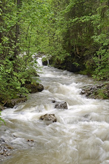 Schwarzwasserbach