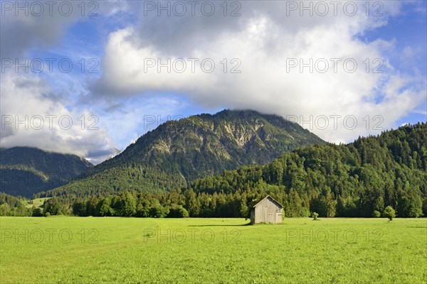 View from the Lorettowiesen to the mountain Himmelschrofen 1759 m with low clouds