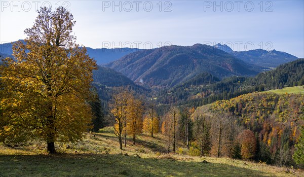 Autumn mountain landscape