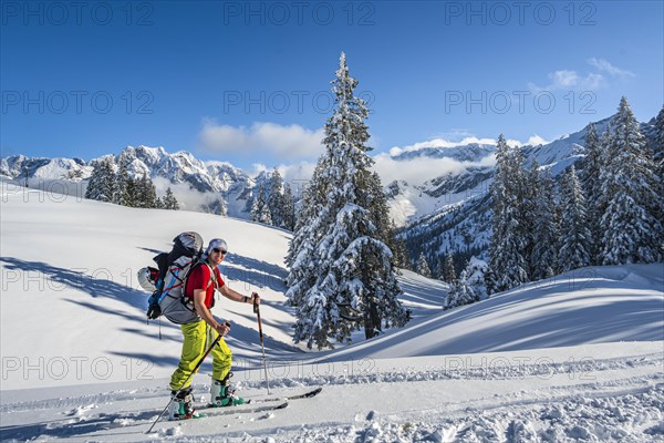 Ski tourers in front of snowy landscape