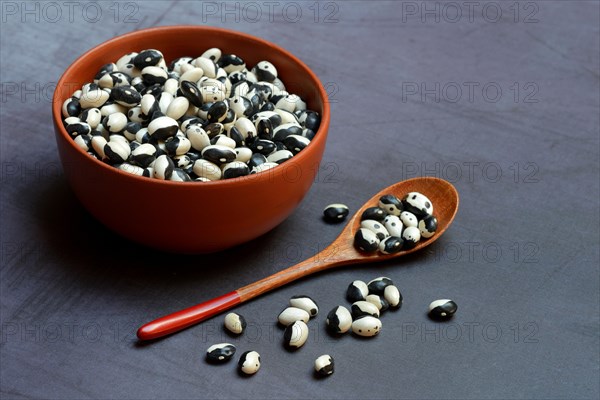 Dried beans in bowl with spoon