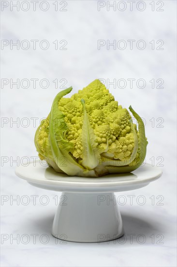 Cauliflower Romanesco on a decorative plate