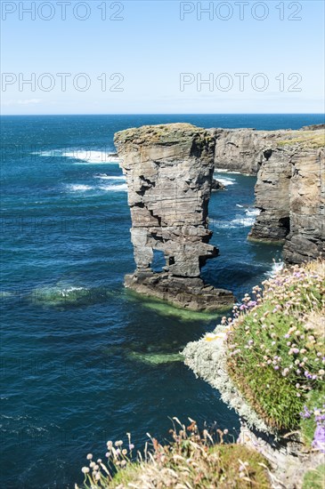 Rocky coast