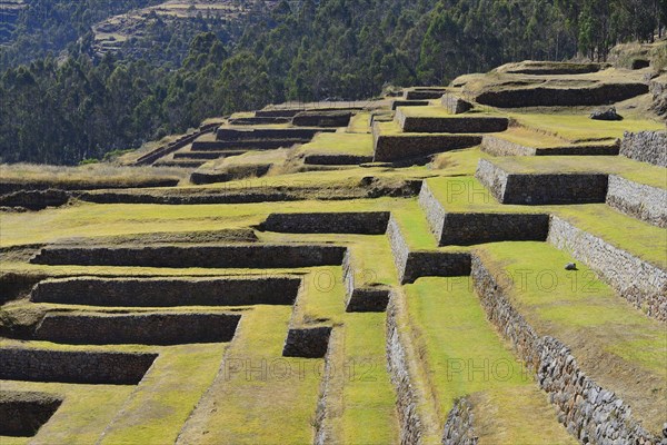 Walled terraces of the Incas