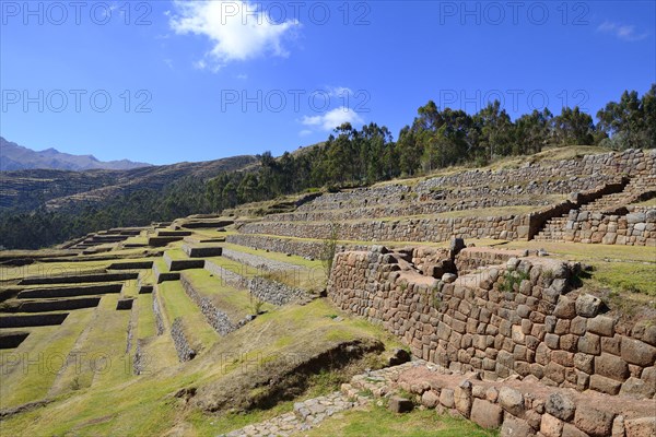 Walled terraces of the Incas