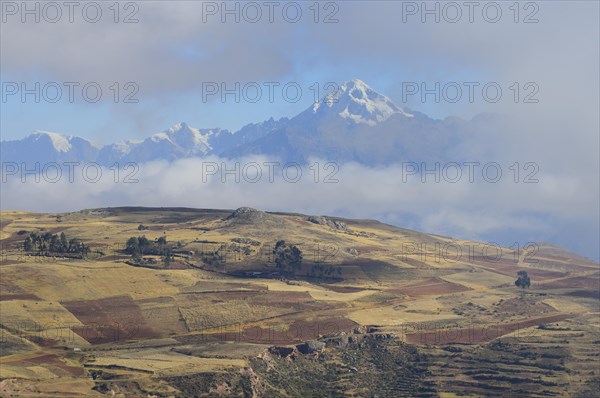 Cultivated fields in the Altiplano in front of the Andes