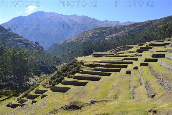 Walled terraces of the Incas