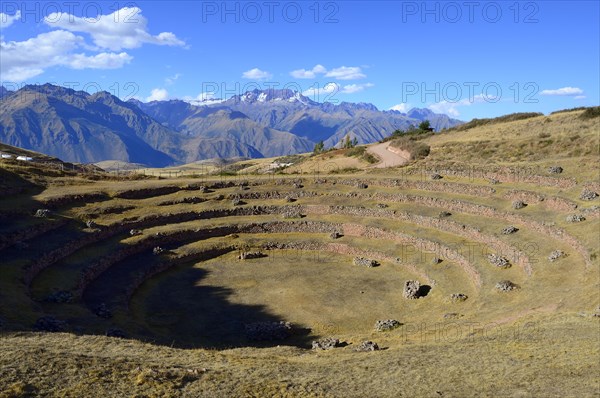 Moray