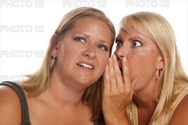 Two blonde woman whispering secrets isolated on a white background