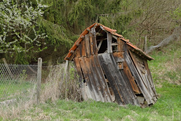 Old crooked collapsing garden hut