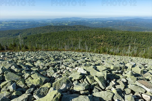 View from the summit of the Lusen