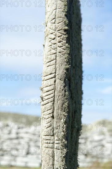 Pictish symbol stone