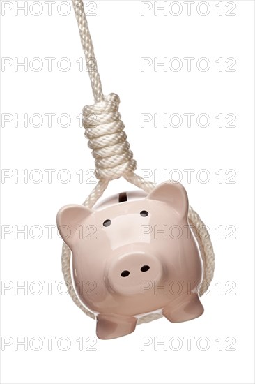 Piggy bank hanging in hangman's noose isolated on a white background