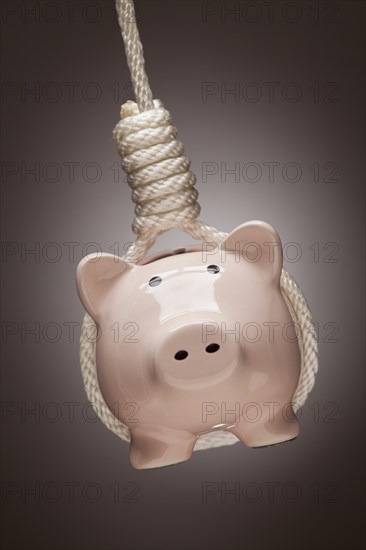 Piggy bank hanging in hangman's noose on spot lit background