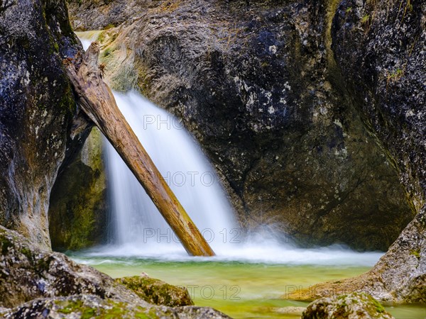 Tree trunk lies in a waterfall of the Almbachklamm