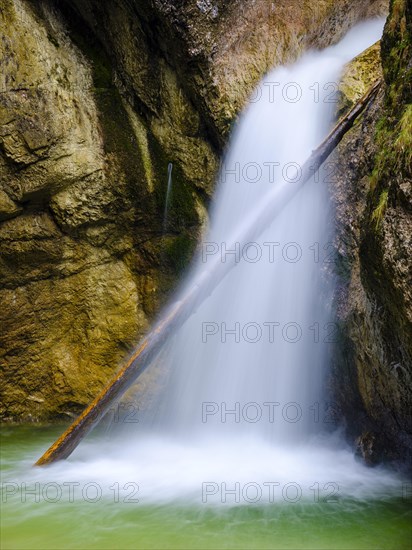 Tree trunk lies in a waterfall of the Almbachklamm