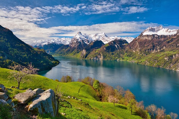 View of Lake Uri and snow-covered mountains Gitschen and Uri-Rotstock