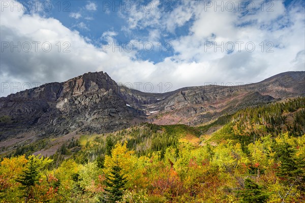 View of Rising Wolf Mountain and bushes in fall colors