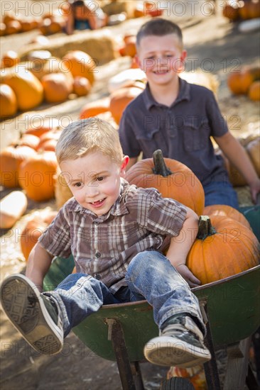 Two little boys playing in wheelbarrow at the pumpkin patch in a rustic country setting