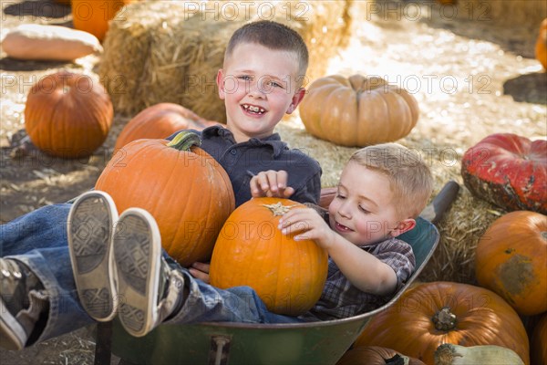 Two little boys playing in wheelbarrow at the pumpkin patch in a rustic country setting