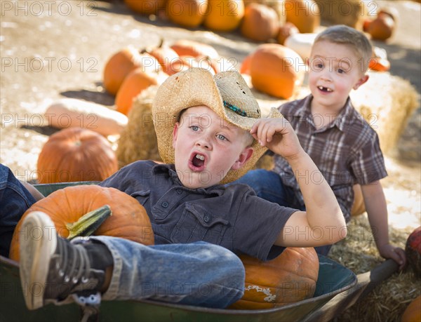 Two little boys playing in wheelbarrow at the pumpkin patch in a rustic country setting