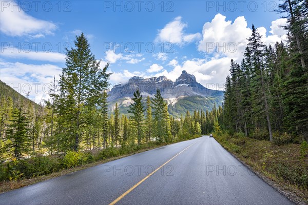 Country road Yoho Valley Road