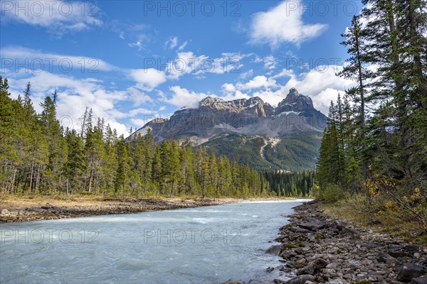 River Kicking Horse River