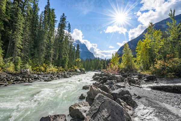 Wild river in Yoho Valley