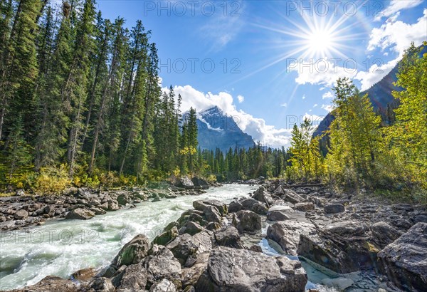 Wild river in Yoho Valley