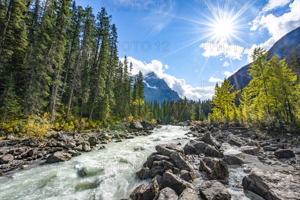 Wild river in Yoho Valley