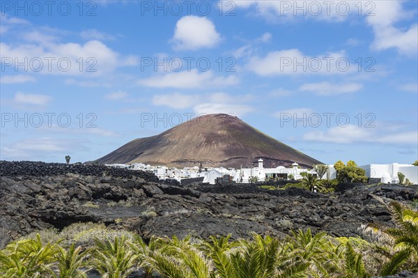 Volcanic cone over the wineyards of Lanzarote