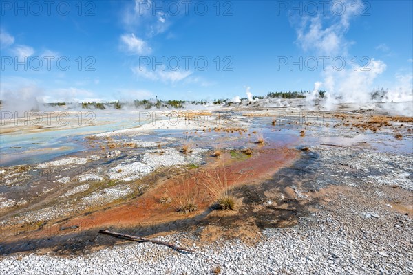 Red mineral deposits at a thermal spring