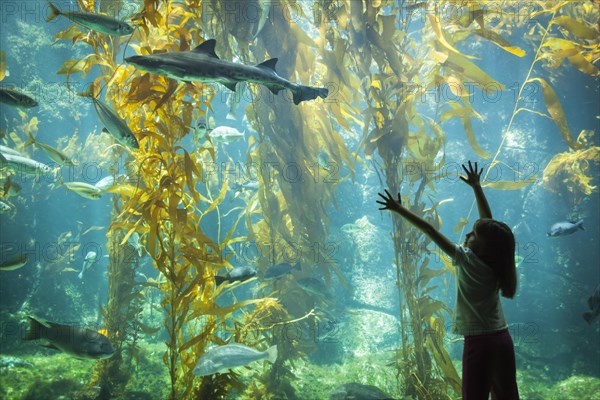 Amazed young girl standing up against large aquarium observation glass reaching for leopard shark