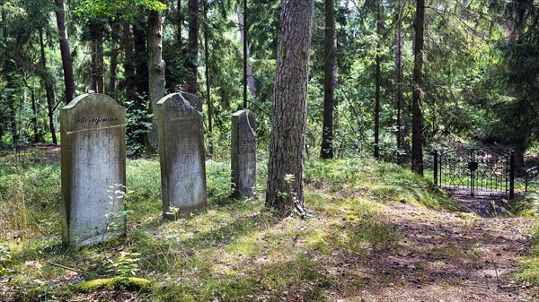 Jewish cemetery Bleckede