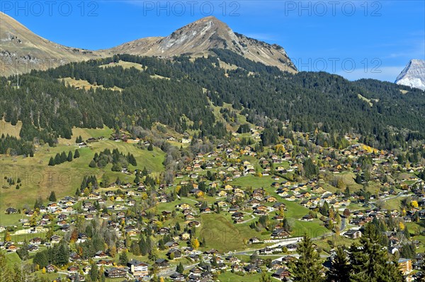 Chalets and holiday homes in Les Diablerets